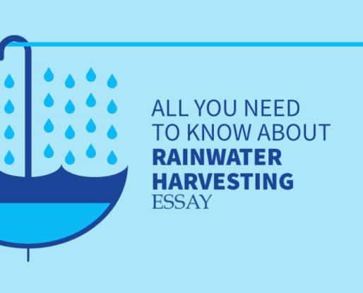 essay on rainwater harvesting in 300 words