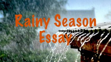 Rainy Season Essay
