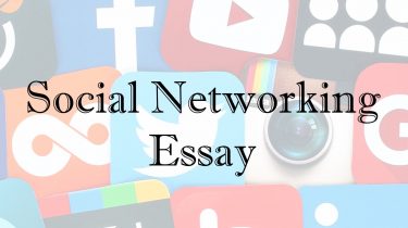 Social Networking Essay