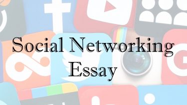 Social Networking Essay