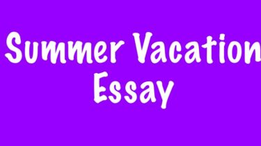 Summer Vacation Essay