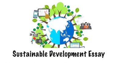 Sustainable Development Essay