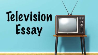 Television Essay