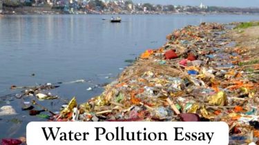Water Pollution Essay