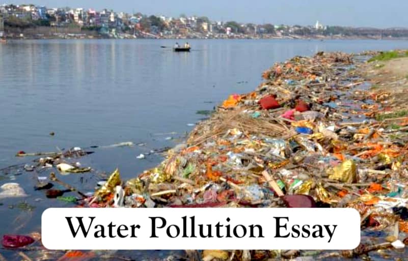 Water Pollution Essay