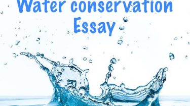 Water conservation Essay