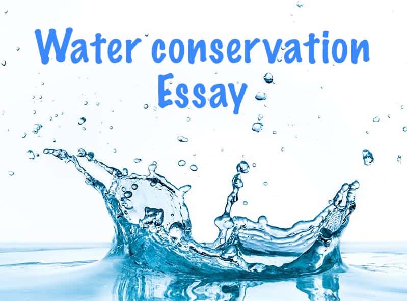 water conservation essay 300 words