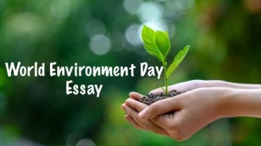 World Environment Day Essay