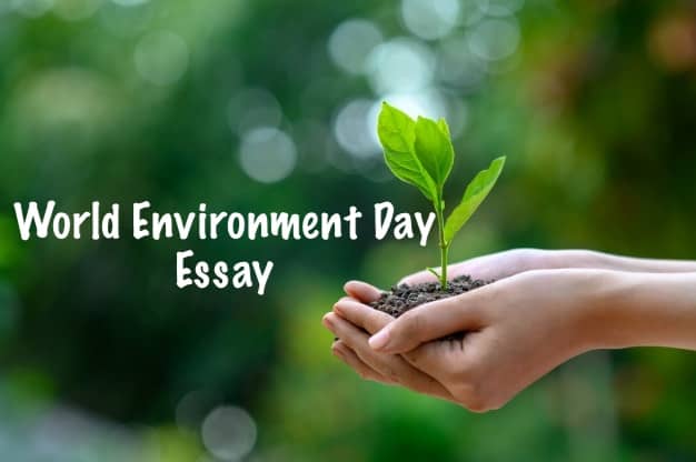 environment essay in english 300 words