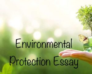 Environmental Protection Essay for Students 300 Words