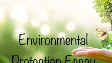Environmental Protection Essay