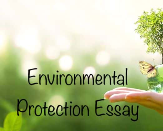 Environmental Protection Essay