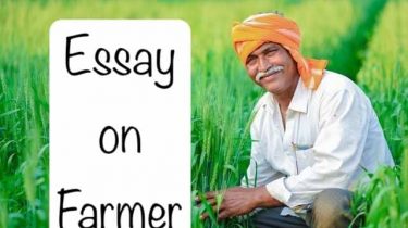 Essay on Farmer
