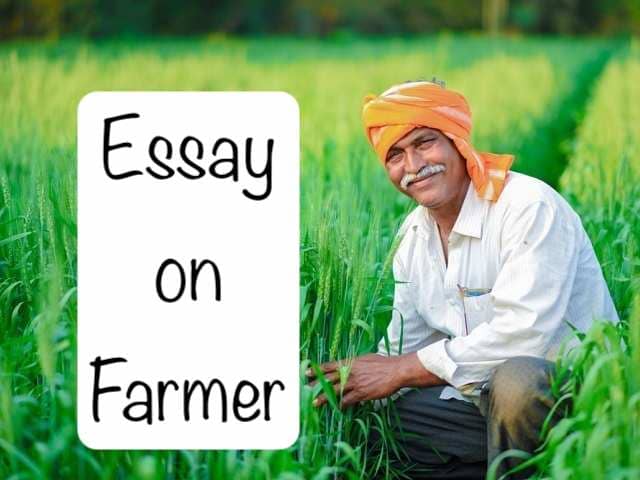 Essay on Farmer