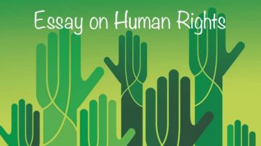 Essay on Human Rights
