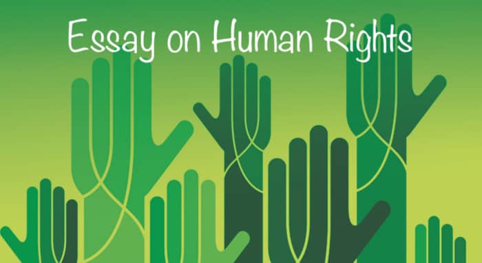 Essay on Human Rights