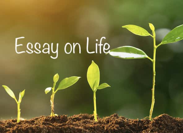 tips for a happy life essay