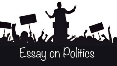 Essay on Politics