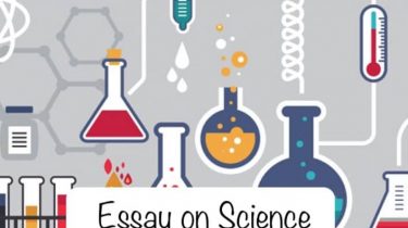 Essay on Science