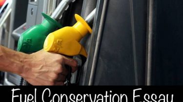 Fuel Conservation Essay