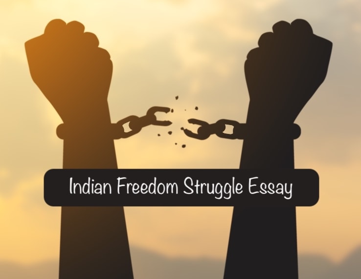 essay on the freedom struggle of india