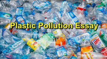 plastic pollution essay