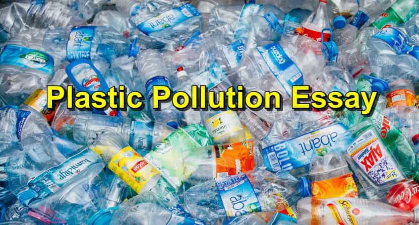 plastic pollution essay