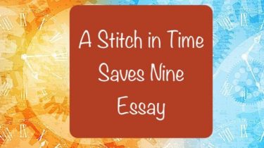 A Stitch in Time Saves Nine Essay