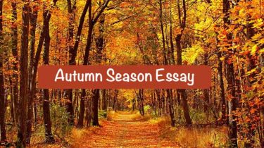 Autumn Season Essay