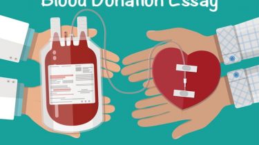 Blood Donation Essay