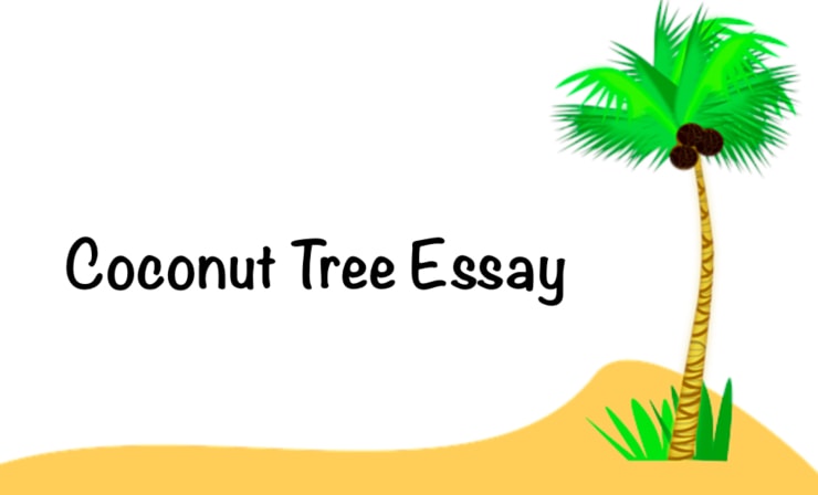 essay on coconut tree in english