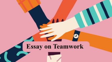 Essay on Teamwork