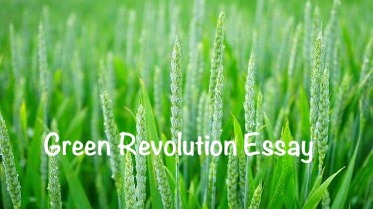 essay on green revolution in 150 words