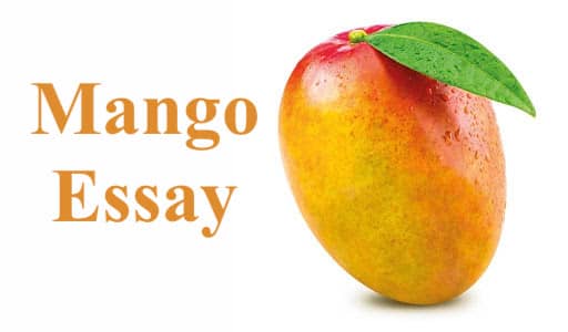 Mango Essay