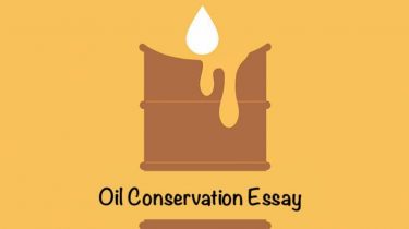 Oil Conservation Essay
