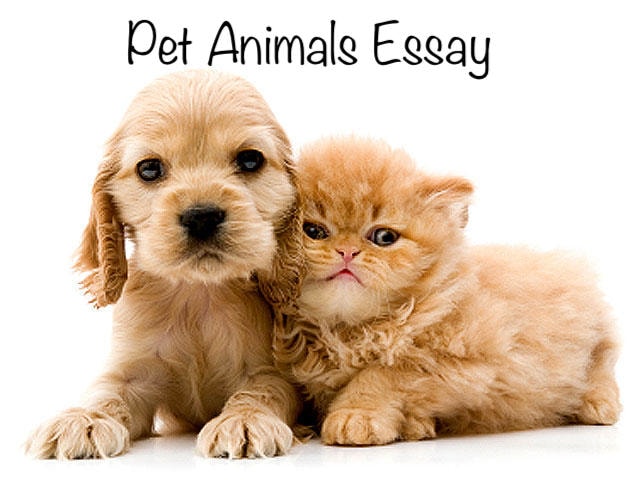 Pet Animals Essay in English for Students in 300 Words