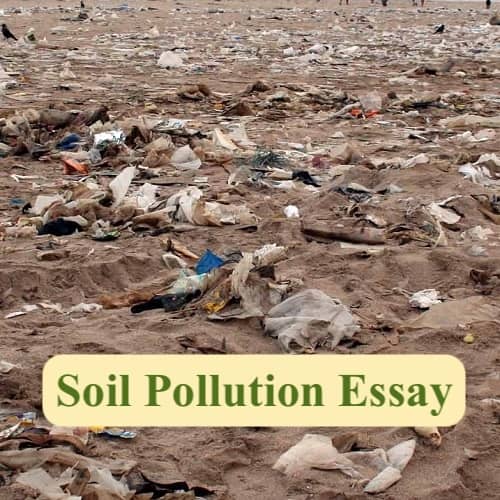 Soil Pollution Essay