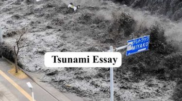 Tsunami Essay