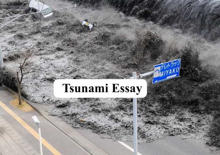 Tsunami Essay
