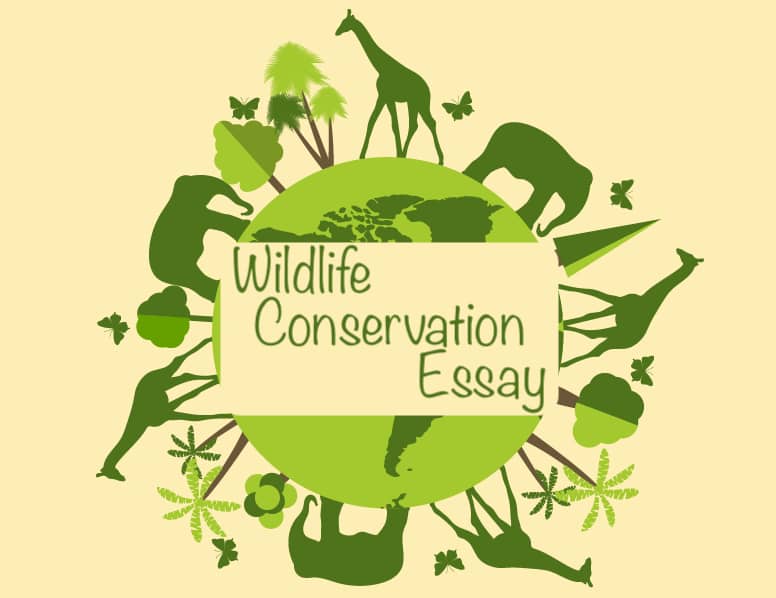 write an essay on wildlife conservation